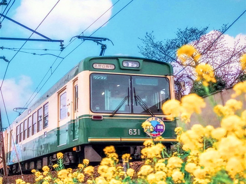 愿你这趟人生的列车，铺满鲜花